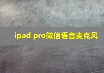 ipad pro微信语音麦克风